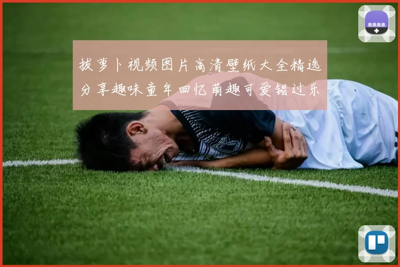 拔萝卜视频图片高清壁纸大全精选分享趣味童年回忆萌趣可爱错过乐