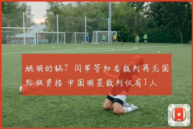 姚明的锅？闫军等知名裁判再无国际级资格 中国明星裁判仅有1人