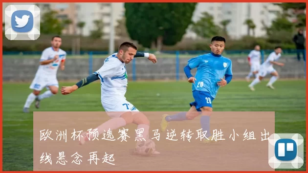 欧洲杯预选赛黑马逆转取胜小组出线悬念再起