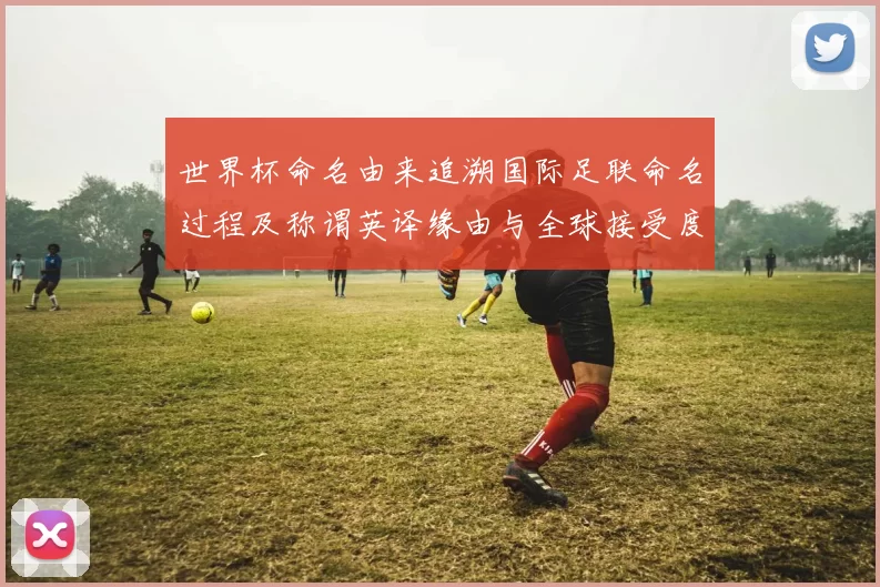 世界杯命名由来追溯国际足联命名过程及称谓英译缘由与全球接受度变化