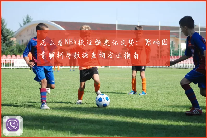 怎么看NBA投注额变化走势：影响因素解析与数据查询方法指南