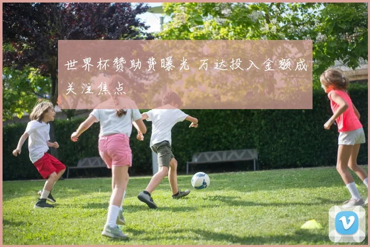 世界杯赞助费曝光 万达投入金额成关注焦点